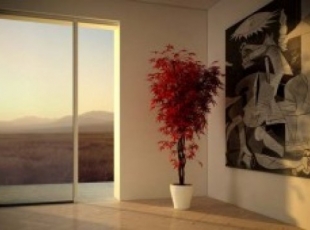scenica-2